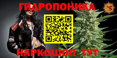 прущая мука Ярославль