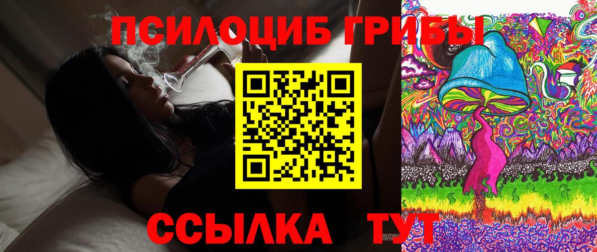 наркота  Галлюциногенные грибы Psilocybe  Вход с VPN  Ижевск 